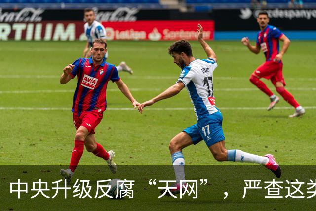 中央升级反腐“天网”，严查这类问题，查到一起处分一起！